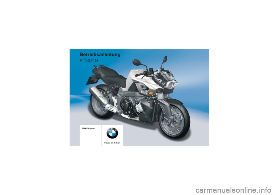 BMW MOTORRAD K 1300 R 2009  Betriebsanleitung (in German) 