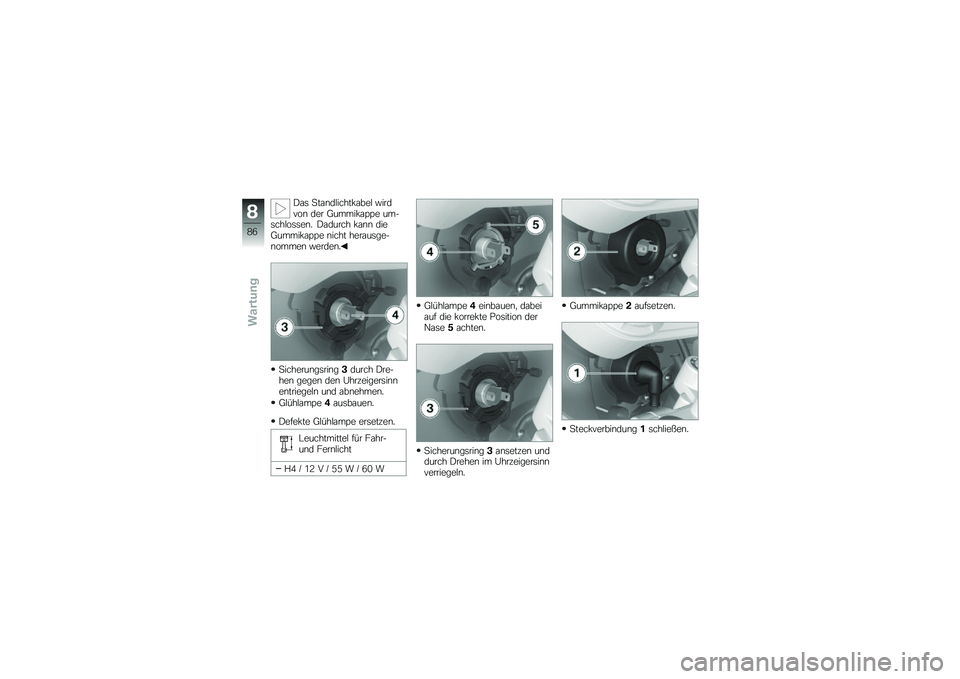 BMW MOTORRAD G 650 GS 2010  Betriebsanleitung (in German) 
Das Standlichtkabel wirdvon der Gummikappe um-schlossen. Dadurch kann dieGummikappe nicht herausge-nommen werden.
Sicherungsring3durch Dre-hen gegen den Uhrzeigersinnentriegeln und abnehmen.
Glühlam