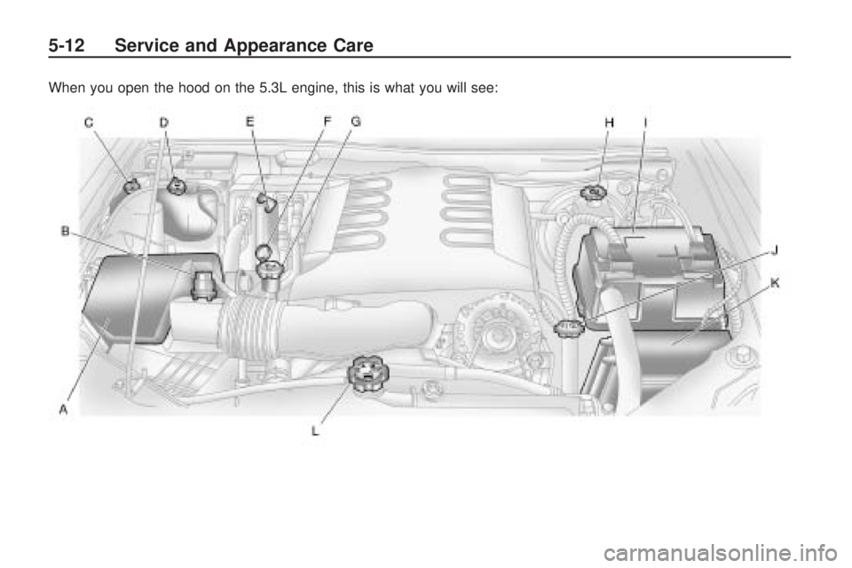 HUMMER H3 2009  Owners Manual When you open the hood on the 5.3L engine, this is what you will see:
5-12 Service and Appearance Care 