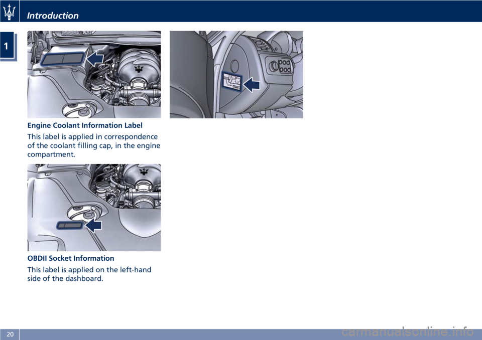 MASERATI GRANTURISMO CONVERTIBLE 2020  Owners Manual Engine Coolant Information Label
This label is applied in correspondence
of the coolant filling cap, in the engine
compartment.
OBDII Socket Information
This label is applied on the left-hand
side of 