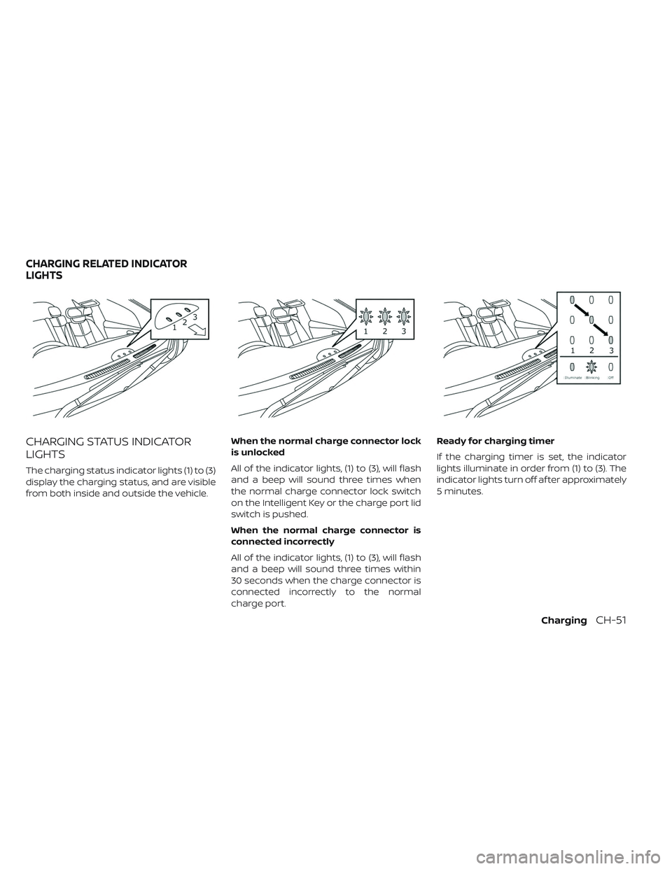 NISSAN LEAF 2019  Owner´s Manual CHARGING STATUS INDICATOR
LIGHTS
The charging status indicator lights (1) to (3)
display the charging status, and are visible
from both inside and outside the vehicle.When the normal charge connector 