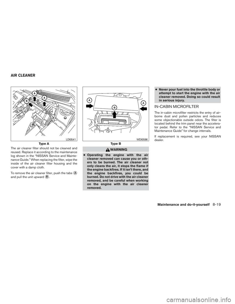 NISSAN SENTRA 2009  Owner´s Manual The air cleaner filter should not be cleaned and
reused. Replace it according to the maintenance
log shown in the “NISSAN Service and Mainte-
nance Guide.” When replacing the filter, wipe the
insi