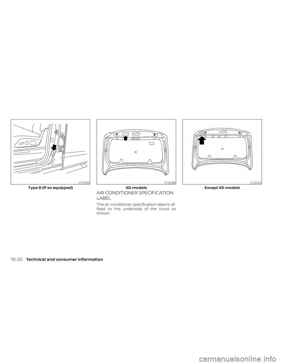 NISSAN TITAN 2020  Owner´s Manual AIR CONDITIONER SPECIFICATION
LABEL
The air conditioner specification label is af-
fixed to the underside of the hood as
shown.
LTI2196
Type B (if so equipped)
LTI2198
XD models
LTI2243
Except XD mode
