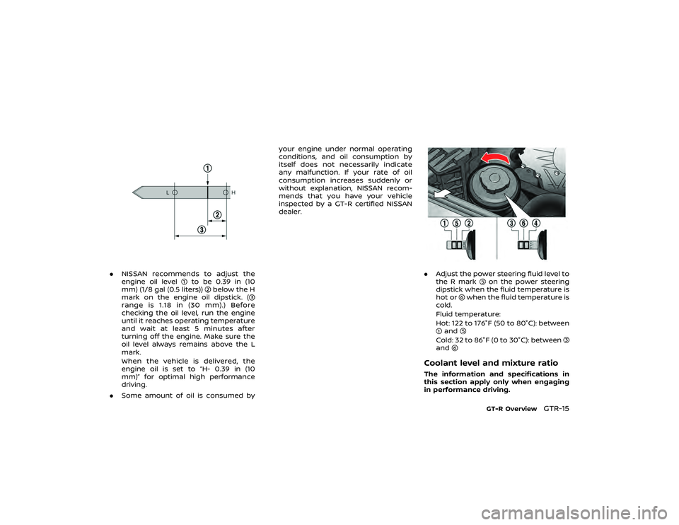 NISSAN GT-R 2020 Owners Manual 