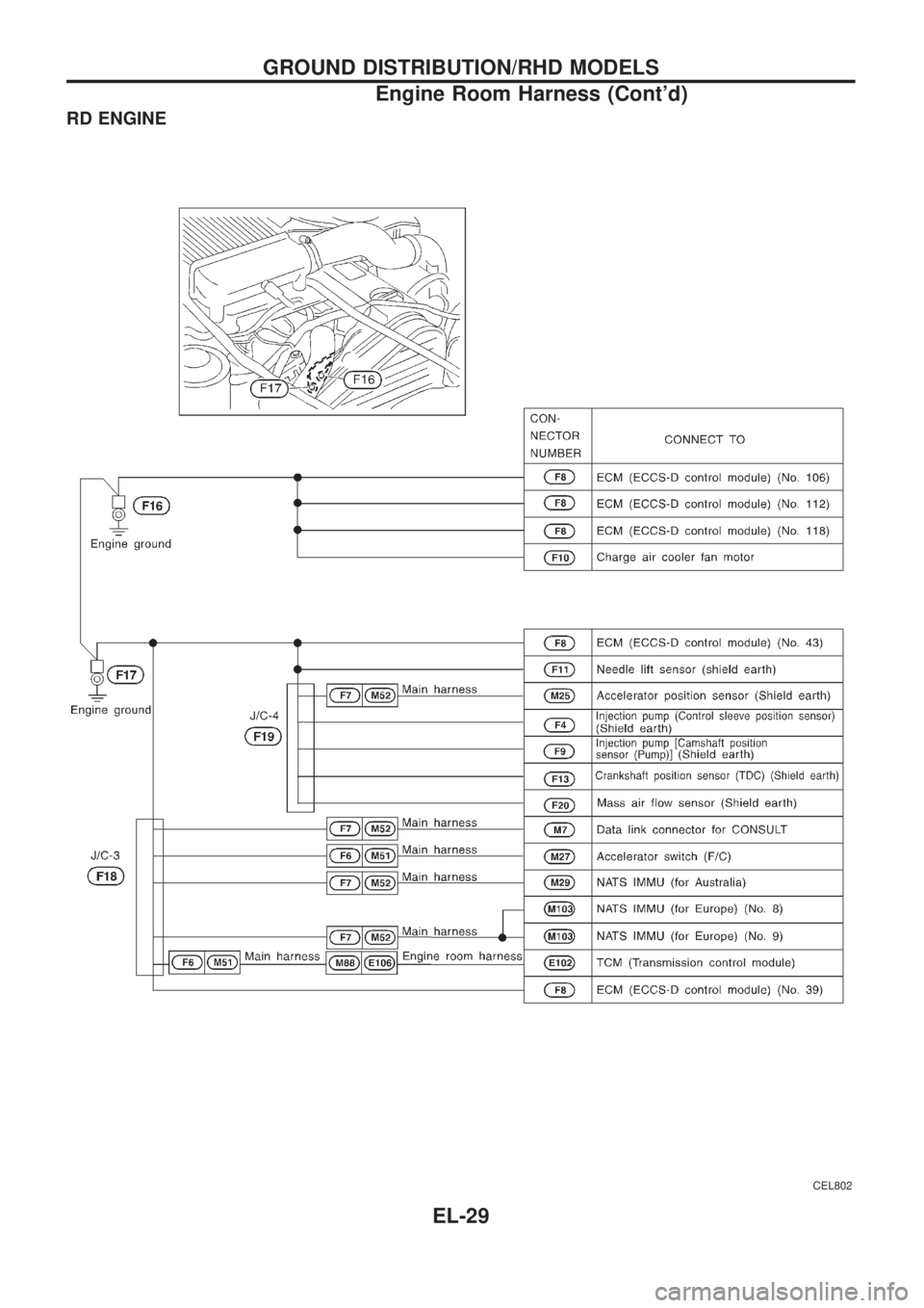 NISSAN PATROL 2006  Service Manual RD ENGINE
CEL802
GROUND DISTRIBUTION/RHD MODELS
Engine Room Harness (Contd)
EL-29 