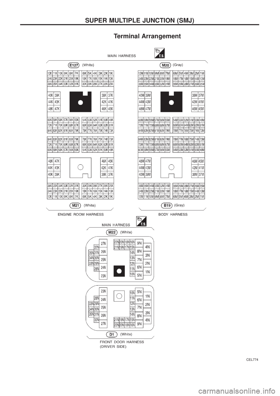 NISSAN PATROL 2006  Service Manual Terminal Arrangement
CEL774
SUPER MULTIPLE JUNCTION (SMJ) 