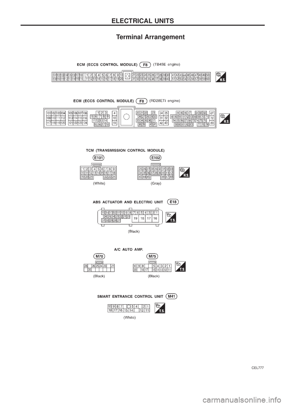 NISSAN PATROL 2006  Service Manual Terminal Arrangement
CEL777
ELECTRICAL UNITS 