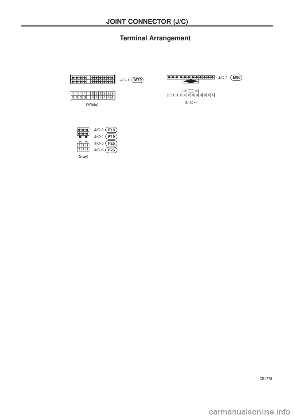 NISSAN PATROL 2006  Service Manual Terminal Arrangement
CEL778
JOINT CONNECTOR (J/C) 