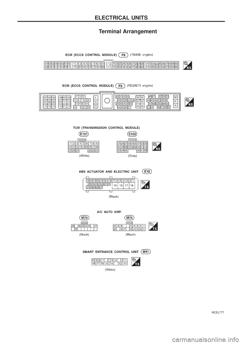 NISSAN PATROL 2006  Service Manual Terminal Arrangement
NCEL777
ELECTRICAL UNITS 