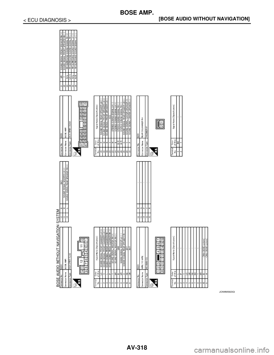 NISSAN TEANA 2008  Service Manual AV-318
< ECU DIAGNOSIS >[BOSE AUDIO WITHOUT NAVIGATION]
BOSE AMP.
JCNWM0923GB 