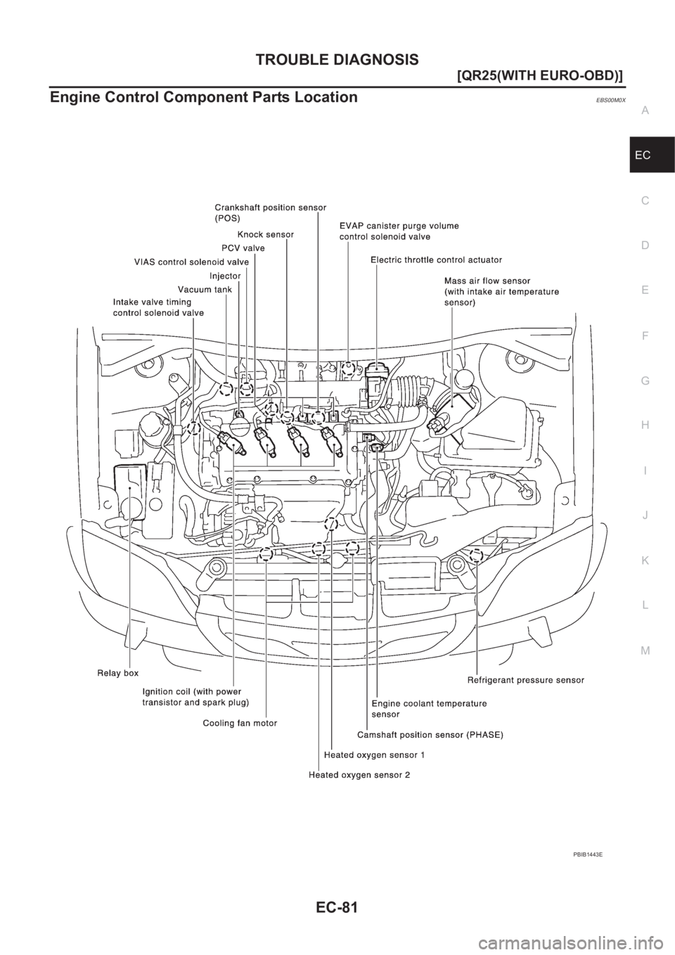 NISSAN X-TRAIL 2001  Service Repair Manual TROUBLE DIAGNOSIS
EC-81
[QR25(WITH EURO-OBD)]
C
D
E
F
G
H
I
J
K
L
MA
EC
Engine Control Component Parts LocationEBS00M0X
PBIB1443E 