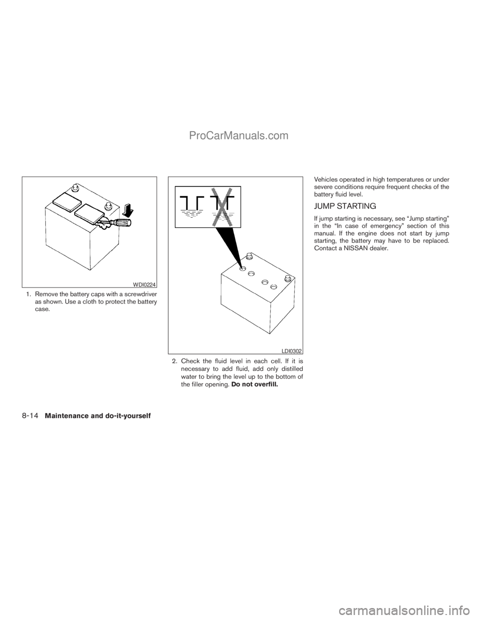 NISSAN TITAN 2008  Owners Manual 1. Remove the battery caps with a screwdriver
as shown. Use a cloth to protect the battery
case.
2. Check the fluid level in each cell. If it is
necessary to add fluid, add only distilled
water to bri