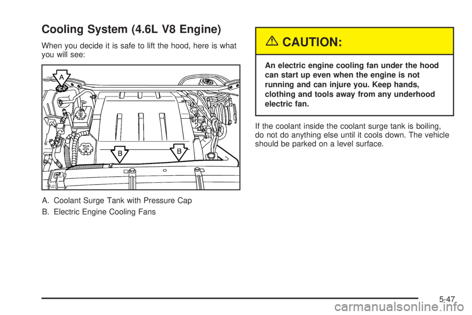 PONTIAC BONNEVILLE 2005  Owners Manual Cooling System (4.6L V8 Engine)
When you decide it is safe to lift the hood, here is what
you will see:
A. Coolant Surge Tank with Pressure Cap
B. Electric Engine Cooling Fans{CAUTION:
An electric eng