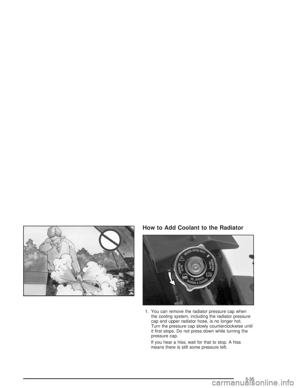 PONTIAC BONNEVILLE 2004  Owners Manual How to Add Coolant to the Radiator
1. You can remove the radiator pressure cap when
the cooling system, including the radiator pressure
cap and upper radiator hose, is no longer hot.
Turn the pressure