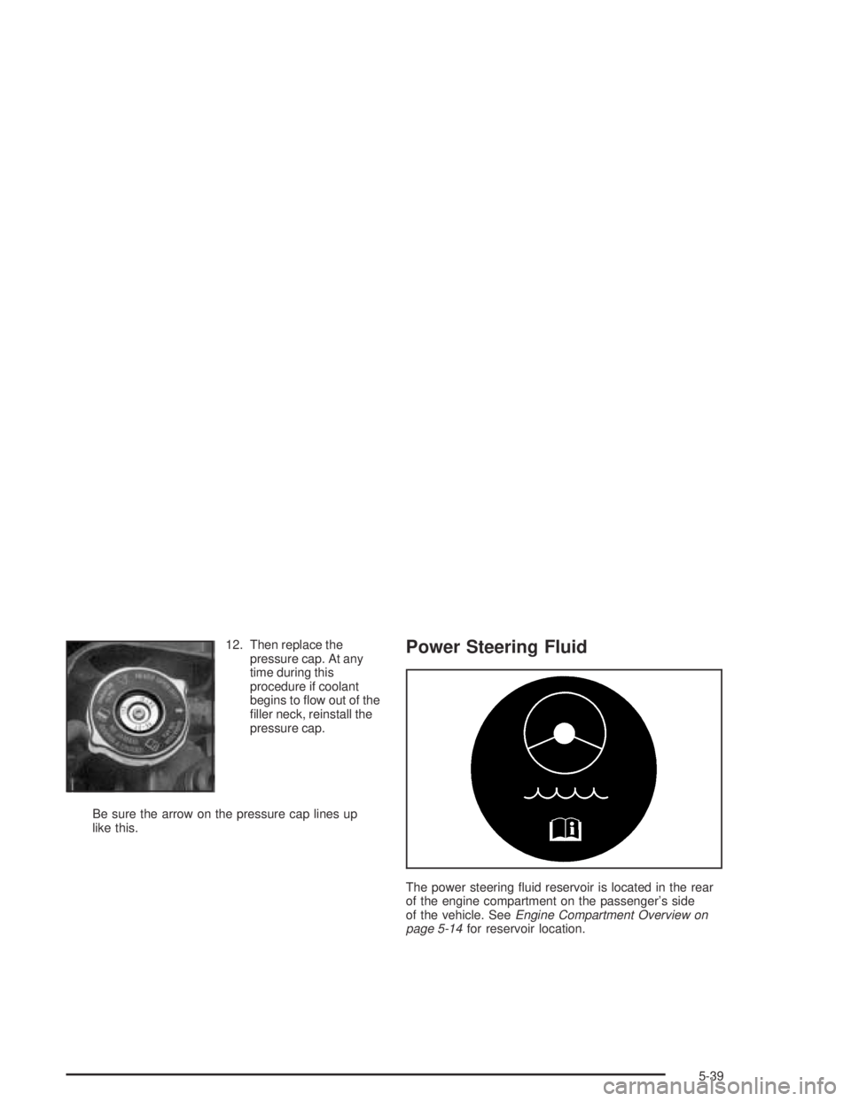 PONTIAC BONNEVILLE 2004  Owners Manual 12. Then replace the
pressure cap. At any
time during this
procedure if coolant
begins to �ow out of the
�ller neck, reinstall the
pressure cap.
Be sure the arrow on the pressure cap lines up
like thi