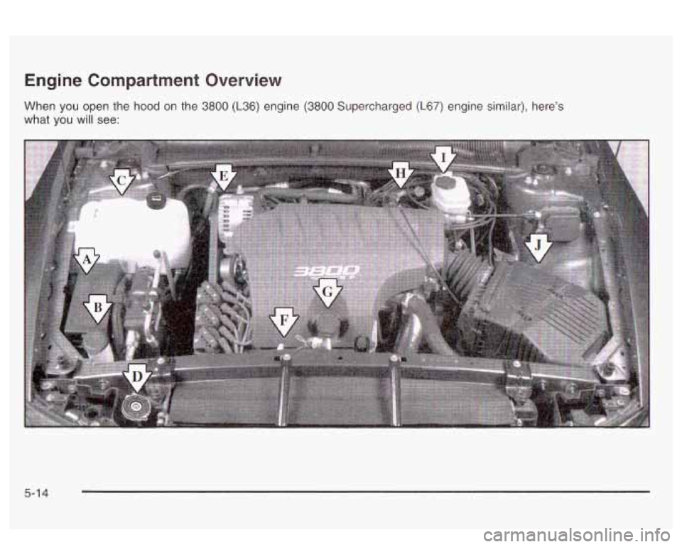 PONTIAC BONNEVILLE 2003  Owners Manual Engine Compartment  Overview 
When you  open the hood on  the 3800 (L36) engine (3800 Supercharged (L67) engine  similar),  here’s 
what you 
will see: 
5-1 4  