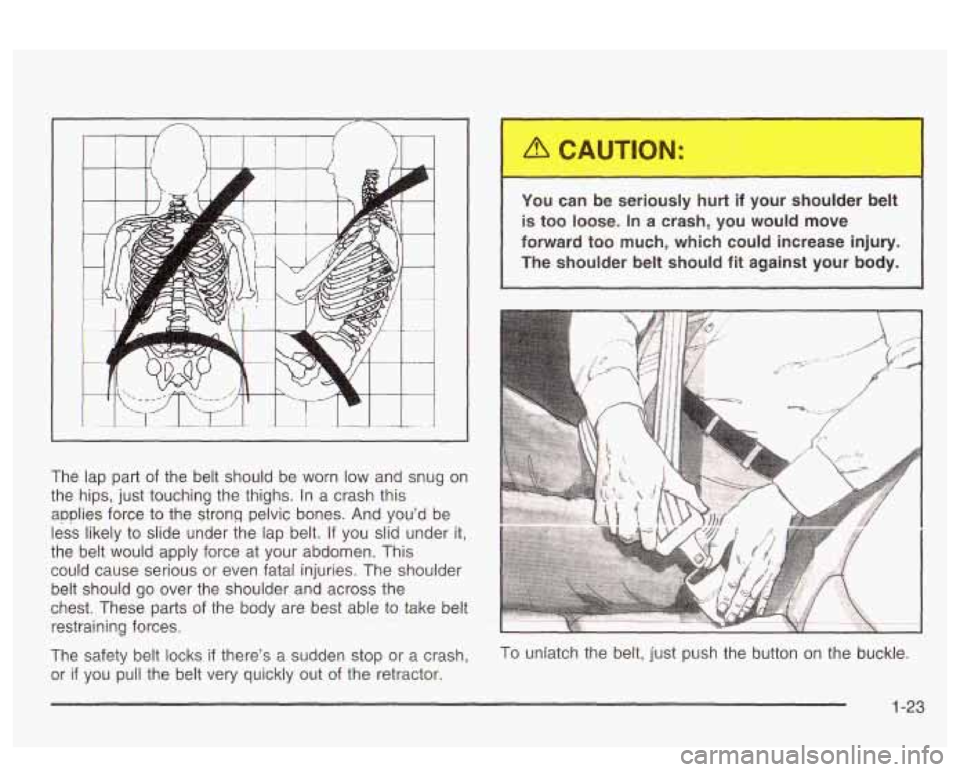 PONTIAC BONNEVILLE 2003 Owners Manual The  lap part of the  belt  should  be worn  low and snug on 
the  hips,  just  touching  the thighs. 
In a crash this 
applies  force  to  the  strong  pelvic  bones. And you’d be 
less  likely  to