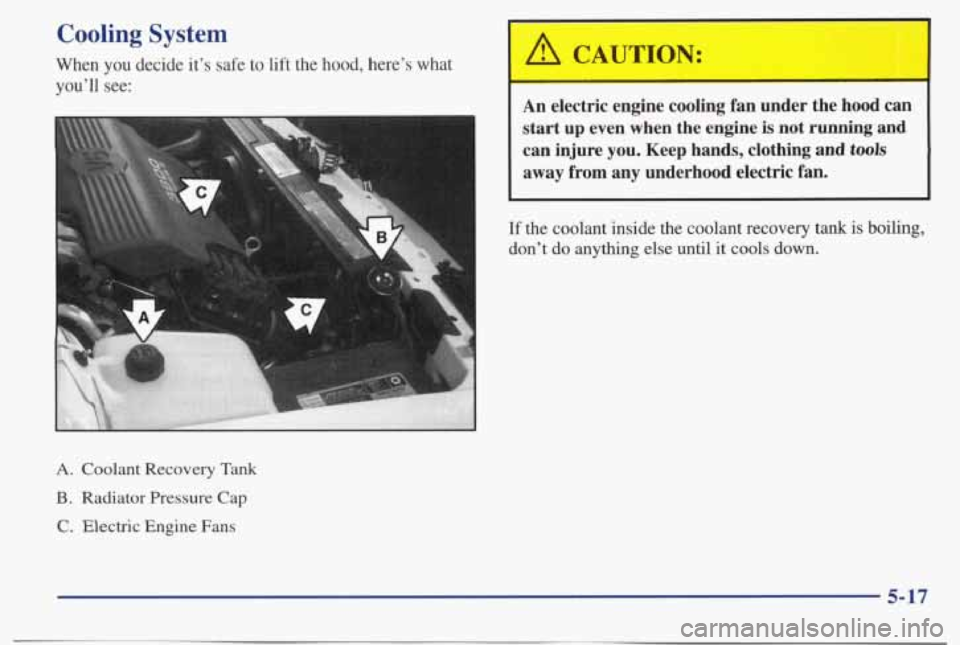 PONTIAC BONNEVILLE 1998 Owners Manual Cooling System
When you decide it’s safe to lift the hood, here’s what
you’ll see:
: CA
L
A CAUTION:
An electric engine cooling fan under the hood can
start up even when PONTIAC BONNEVILLE 1998 Owners Manual Cooling System
When you decide it’s safe to lift the hood, here’s what
you’ll see:
: CA
L
A CAUTION:
An electric engine cooling fan under the hood can
start up even when