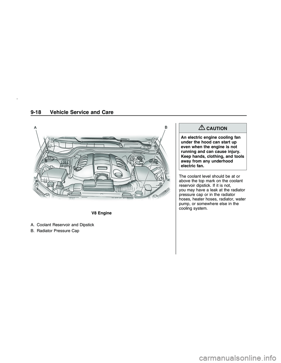 PONTIAC G8 2008 Owners Manual A. Coolant Reservoir and Dipstick
B. Radiator Pressure Cap
{CAUTION
An electric engine cooling fan
under the hood can start up
even when the engine is not
running and can cause injury.
Keep hands, clo PONTIAC G8 2008 Owners Manual A. Coolant Reservoir and Dipstick
B. Radiator Pressure Cap
{CAUTION
An electric engine cooling fan
under the hood can start up
even when the engine is not
running and can cause injury.
Keep hands, clo