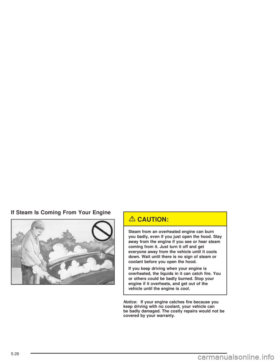 PONTIAC GRAND AM 2004 Owners Manual If Steam Is Coming From Your Engine
{CAUTION:
Steam from an overheated engine can burn
you badly, even if you just open the hood. Stay
away from the engine if you see or hear steam
coming from it. Jus PONTIAC GRAND AM 2004 Owners Manual If Steam Is Coming From Your Engine
{CAUTION:
Steam from an overheated engine can burn
you badly, even if you just open the hood. Stay
away from the engine if you see or hear steam
coming from it. Jus