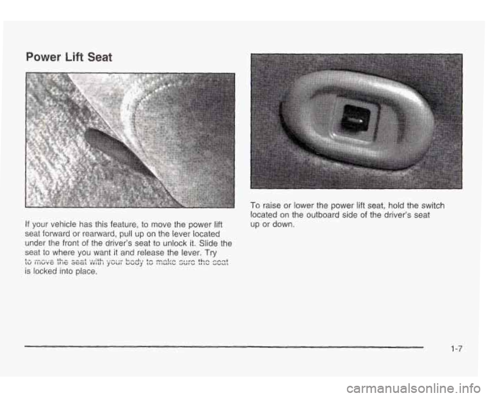 PONTIAC GRAND AM 2003 User Guide Bower Lift Seat 
If  your vehicle  has this feature, to move  the power lift 
seat  forward  or rearward, pull  up  on the lever  located 
under  the front  of the  driver’s seat to  unlock it. Slid