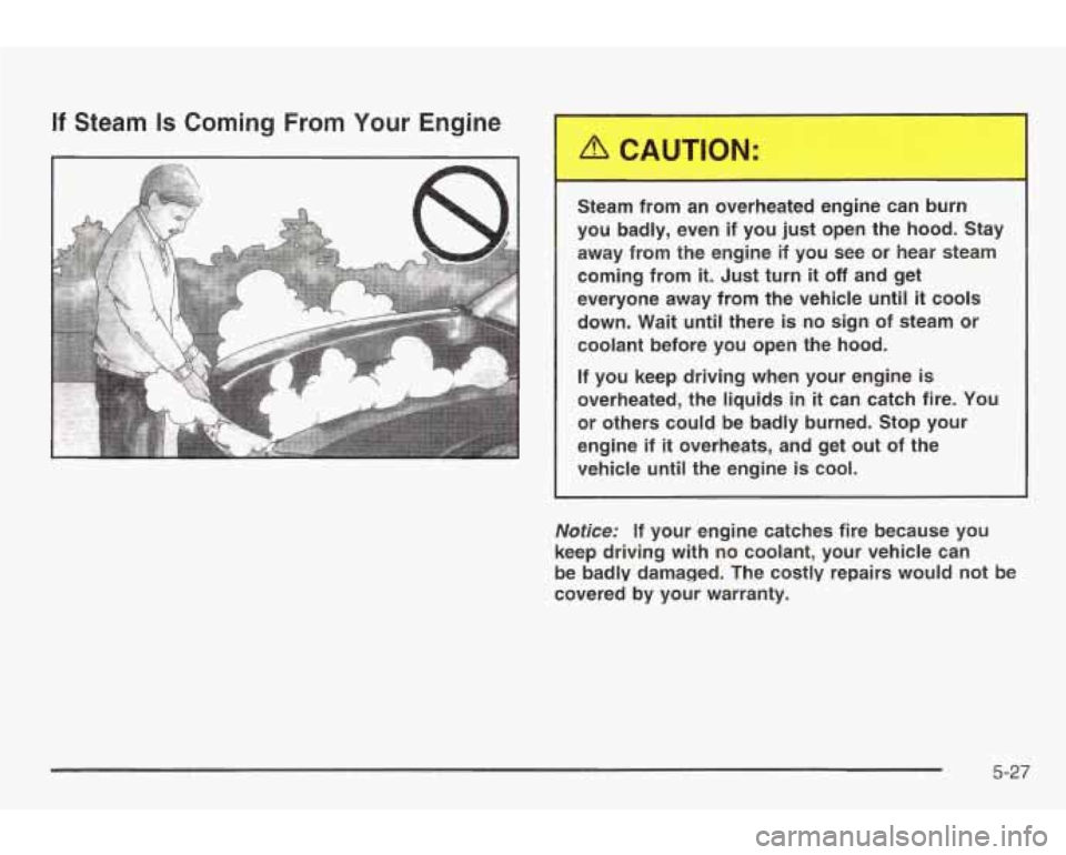 PONTIAC GRAND AM 2003 Repair Manual If Steam Is Coming From Your Engine
Steam from an overheated engine can burn
you badly, even
if you just open the hood. Stay
away from the engine
if you see or hear steam
coming PONTIAC GRAND AM 2003 Repair Manual If Steam Is Coming From Your Engine
Steam from an overheated engine can burn
you badly, even
if you just open the hood. Stay
away from the engine
if you see or hear steam
coming