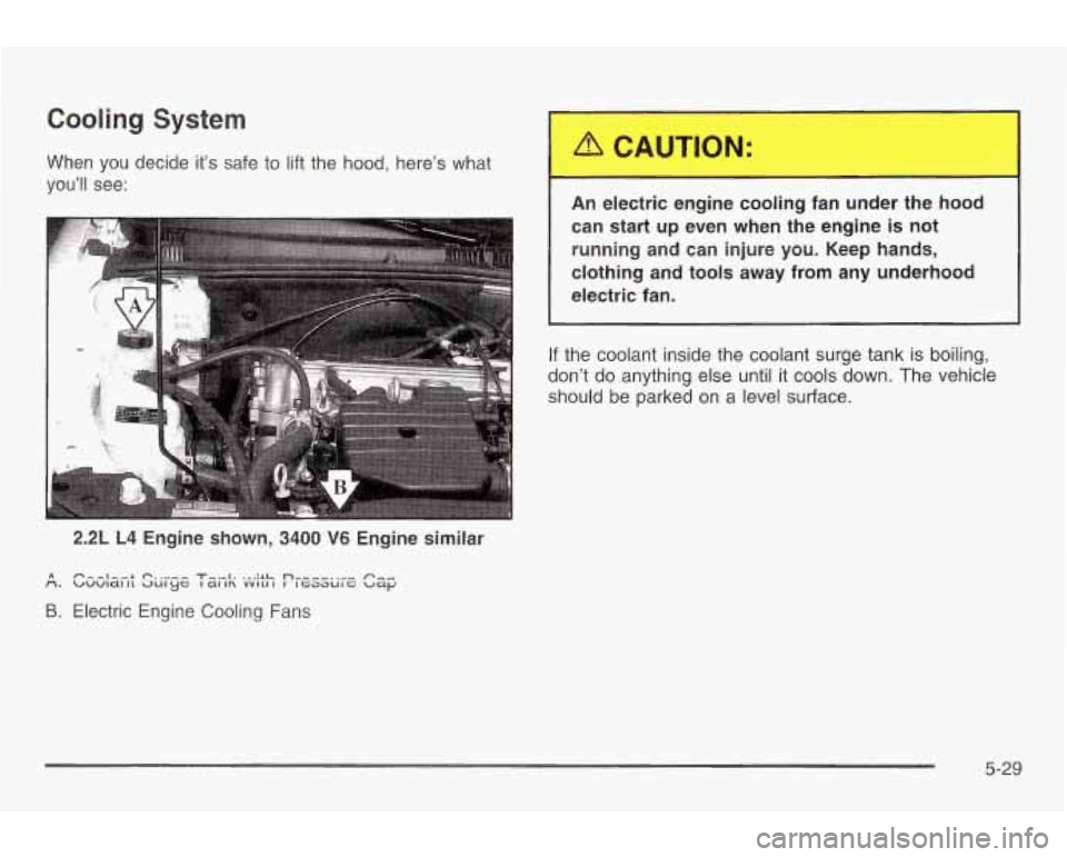 PONTIAC GRAND AM 2003 Repair Manual Cooling System
When you decide it’s safe to lift the hood, here’s what
you’ll see:
. .. ...
2.2L L4 Engine shown, 3400 V6 Engine similar
CAUTION:
An electric engine cooling fan PONTIAC GRAND AM 2003 Repair Manual Cooling System
When you decide it’s safe to lift the hood, here’s what
you’ll see:
. .. ...
2.2L L4 Engine shown, 3400 V6 Engine similar
CAUTION:
An electric engine cooling fan