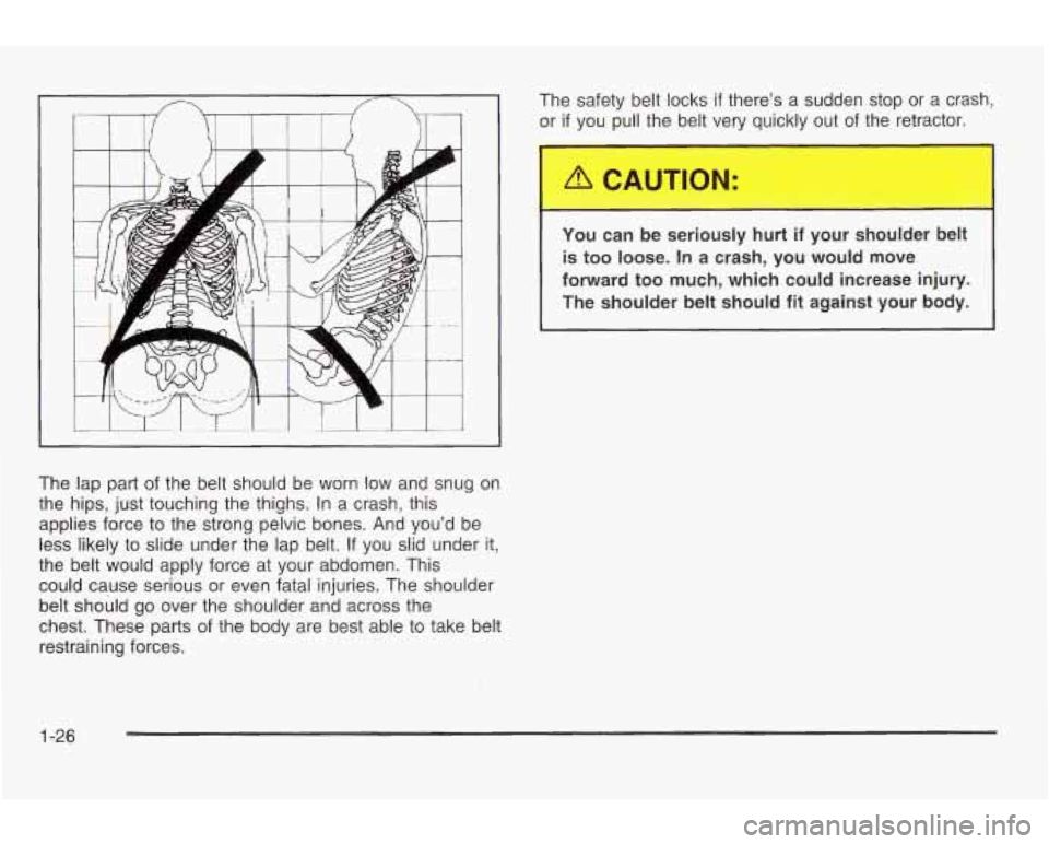 PONTIAC GRAND AM 2003 Owners Guide The lap part of the belt should be worn low and snug on
the hips, just touching the thighs.
In a crash, this
applies force
to the strong pelvic bones. And you’d be
less likely to sl PONTIAC GRAND AM 2003 Owners Guide The lap part of the belt should be worn low and snug on
the hips, just touching the thighs.
In a crash, this
applies force
to the strong pelvic bones. And you’d be
less likely to sl