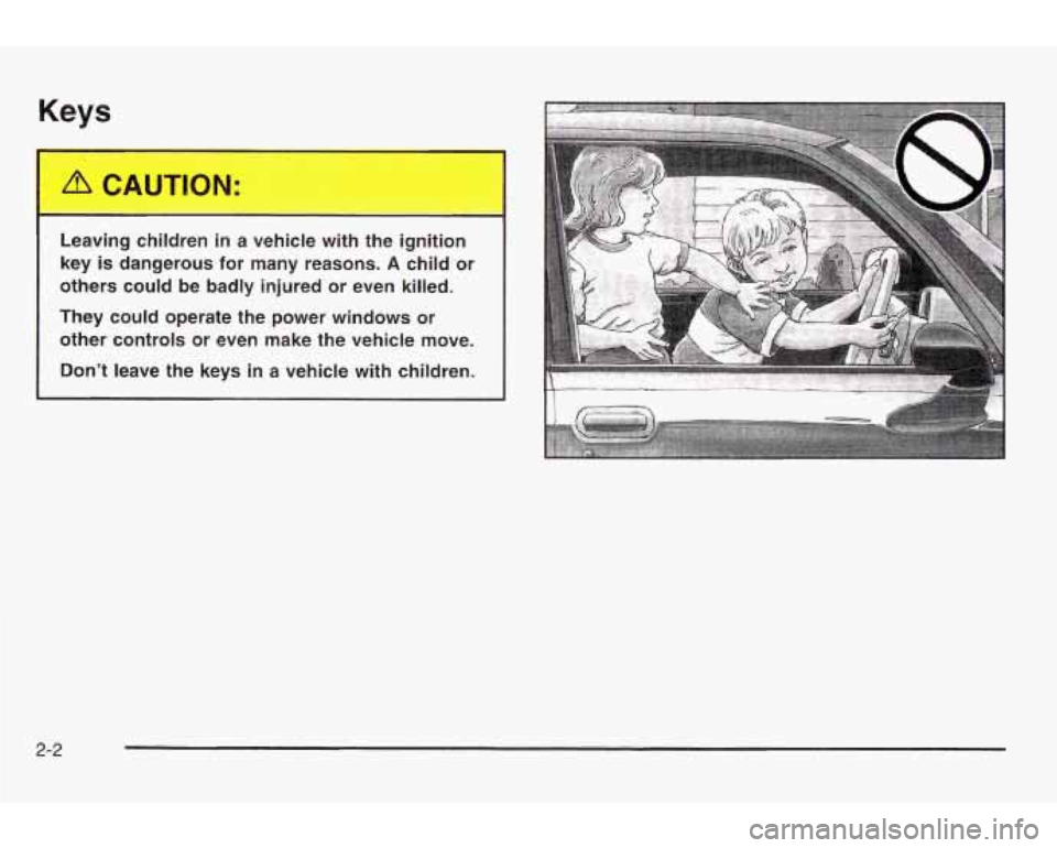PONTIAC GRAND AM 2003 Manual PDF Keys 
Leaving children  in a vehicle  with  the  ignition 
key  is  dangerous  for  many reasons. 
A child or 
others  could be badly  injured  or even  killed. 
They  could operate  the power windows