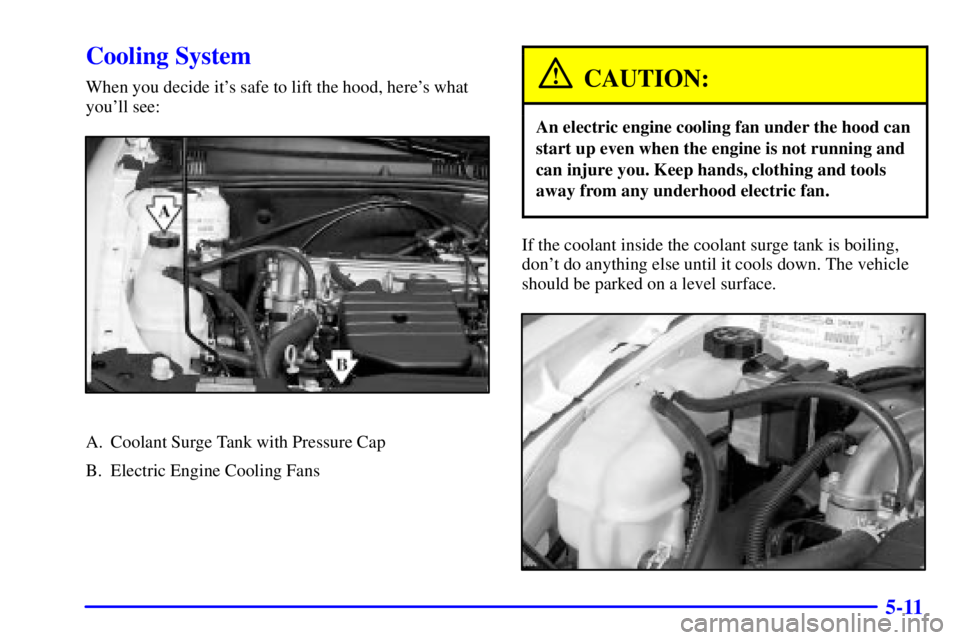 PONTIAC GRAND AM 2002  Owners Manual 5-11
Cooling System
When you decide its safe to lift the hood, heres what
youll see:
A. Coolant Surge Tank with Pressure Cap
B. Electric Engine Cooling Fans
CAUTION:
An electric engine cooling fan 