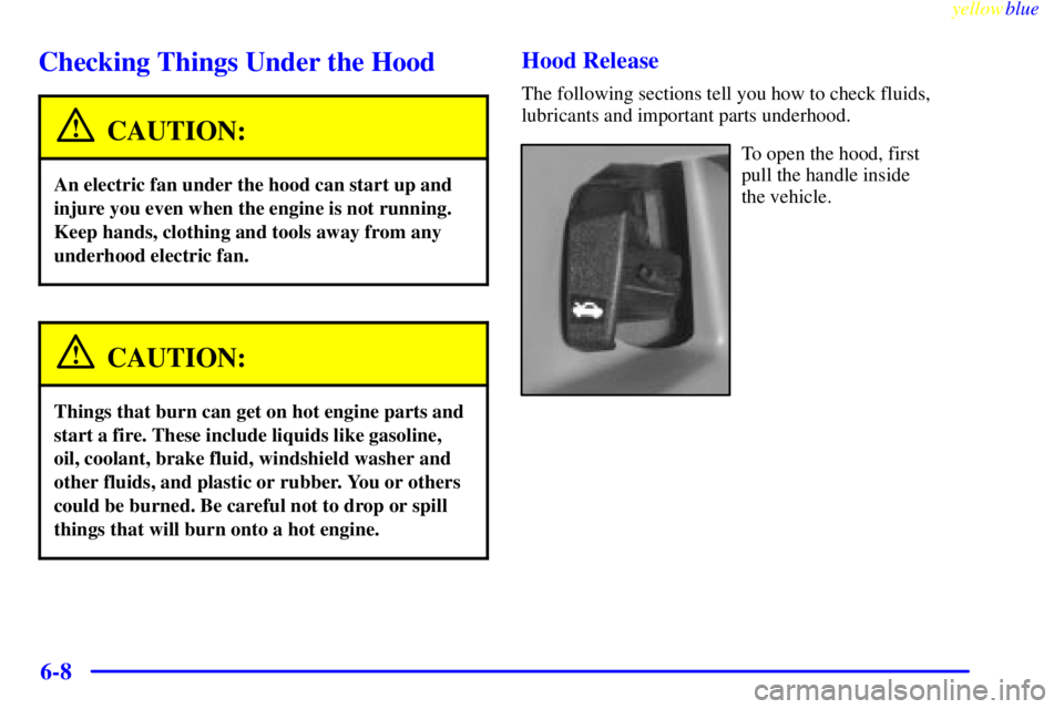 PONTIAC GRAND AM 1999  Owners Manual yellowblue     
6-8
Checking Things Under the Hood
CAUTION:
An electric fan under the hood can start up and
injure you even when the engine is not running.
Keep hands, clothing and tools away from any