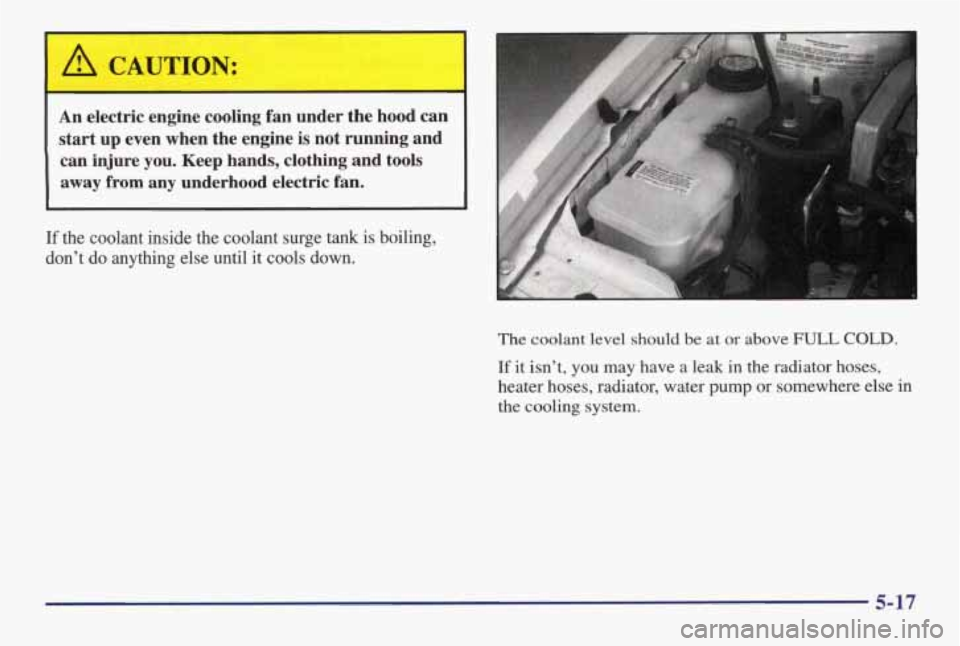 PONTIAC GRAND AM 1998 Owners Manual A CAUTION:
An electric engine cooling fan under the hood can
start up even when the engine is not running and
can injure you.
Keep hands, clothing and tools
away from any underh PONTIAC GRAND AM 1998 Owners Manual A CAUTION:
An electric engine cooling fan under the hood can
start up even when the engine is not running and
can injure you.
Keep hands, clothing and tools
away from any underh