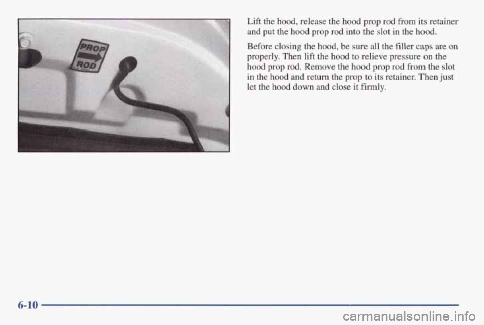 PONTIAC GRAND AM 1998  Owners Manual L 
Lift the hood, release  the hood prop rod from its  retainer 
and put the hood prop rod into  the  slot in the hood. 
Before  closing  the hood, be  sure  all  the  filler caps are on 
properly.  T