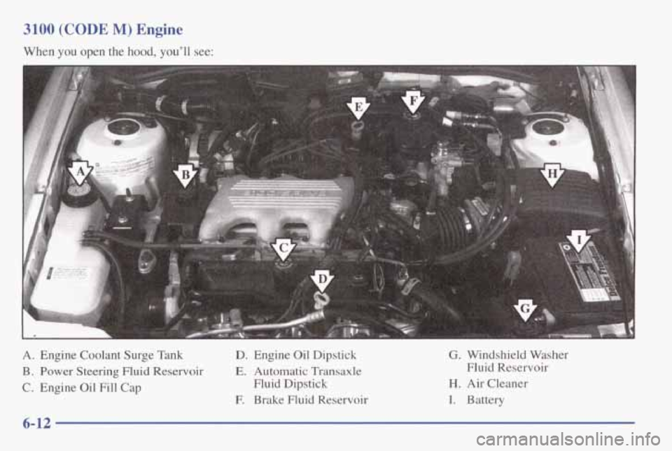 PONTIAC GRAND AM 1998  Owners Manual 3100 (CODE M) Engine 
When you open  the  hood, you’ll see: 
A. Engine  Coolant  Surge  Tank 
B. Power  Steering  Fluid  Reservoir 
C. Engine  Oil  Fill  Cap 
D. Engine  Oil  Dipstick G. Windshield 