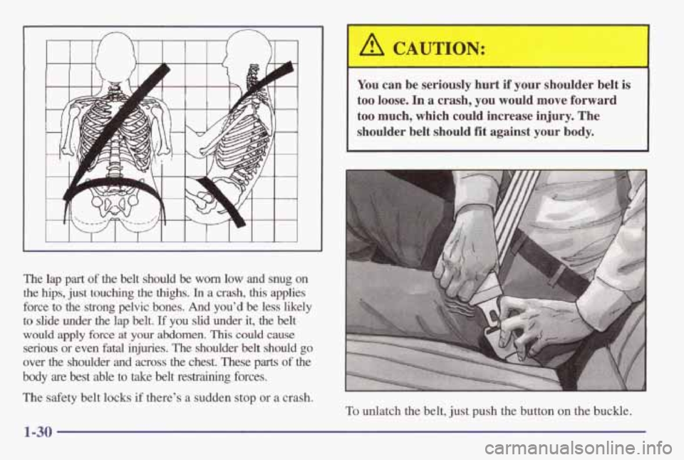 PONTIAC GRAND AM 1998 Owners Guide The lap part of the belt should be worn low and snug on
the hips, just touching the
thighs. In a crash, this applies
force
to the strong pelvic bones. And you’d be less likely
to s PONTIAC GRAND AM 1998 Owners Guide The lap part of the belt should be worn low and snug on
the hips, just touching the
thighs. In a crash, this applies
force
to the strong pelvic bones. And you’d be less likely
to s