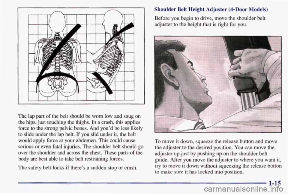 PONTIAC GRAND AM 1997 Owners Manual The lap part of the  belt  should  be worn low and  snug  on 
the  hips,  just touching  the  thighs. 
In a  crash,  this  applies 
force  to the  strong  pelvic  bones.  And  youd  be less  likely 
