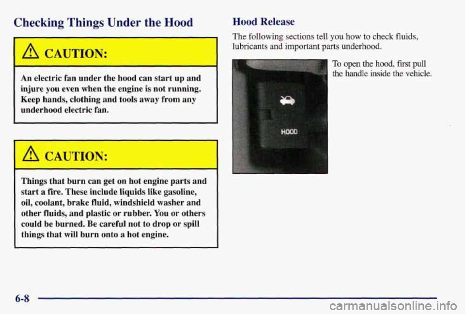 PONTIAC GRAND AM 1997  Owners Manual Checking Things Under the Hood 
I 
 A CAUTION: 
An electric  fan  under  the  hood can  start up and 
injure 
you even  when  the  engine is  not  running. 
Keep  hands,  clothing  and  tools away  f