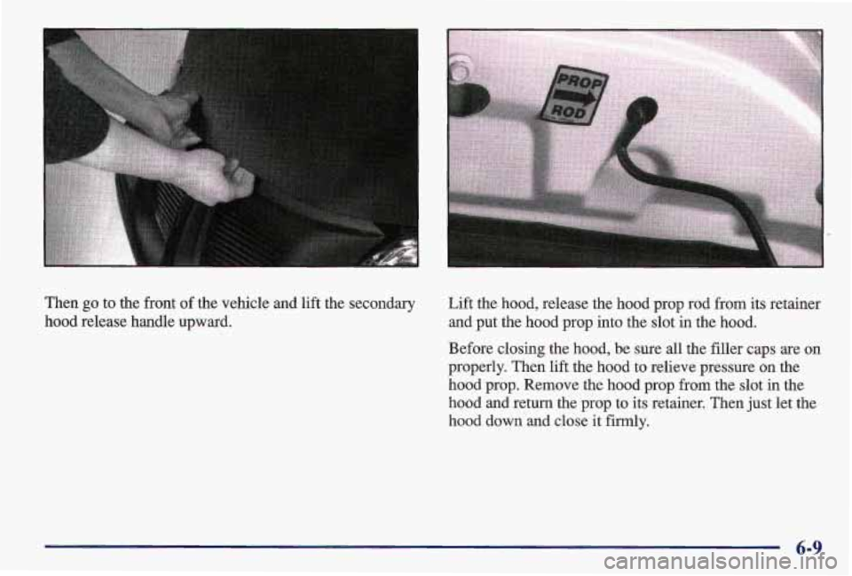 PONTIAC GRAND AM 1997  Owners Manual Then go to  the front of the  vehicle  and lift the  secondary 
hood  release  handle  upward. 
I 
Lift the hood, release  the hood  prop  rod  from its retainer 
and  put  the  hood  prop into the sl