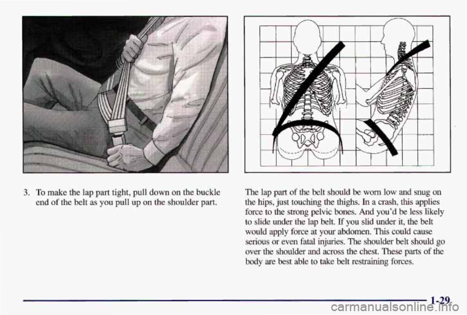 PONTIAC GRAND AM 1997 Owners Guide 3. To make the lap part tight, pull down on the buckle
end
of the belt as you pull up on the shoulder part.
The lap part of the belt should be worn low and snug on
the hips, PONTIAC GRAND AM 1997 Owners Guide 3. To make the lap part tight, pull down on the buckle
end
of the belt as you pull up on the shoulder part.
The lap part of the belt should be worn low and snug on
the hips,