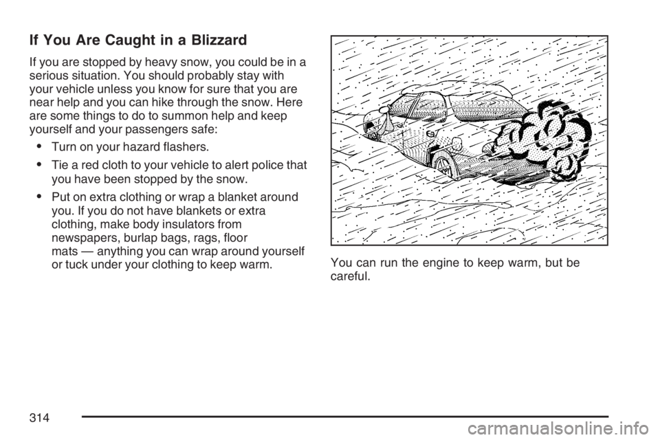 PONTIAC GRAND PRIX 2007  Owners Manual If You Are Caught in a Blizzard
If you are stopped by heavy snow, you could be in a
serious situation. You should probably stay with
your vehicle unless you know for sure that you are
near help and yo