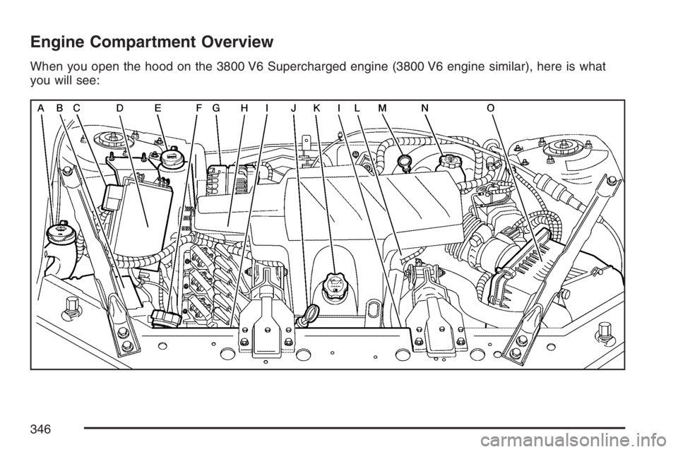 PONTIAC GRAND PRIX 2007  Owners Manual Engine Compartment Overview
When you open the hood on the 3800 V6 Supercharged engine (3800 V6 engine similar), here is what
you will see:
346 