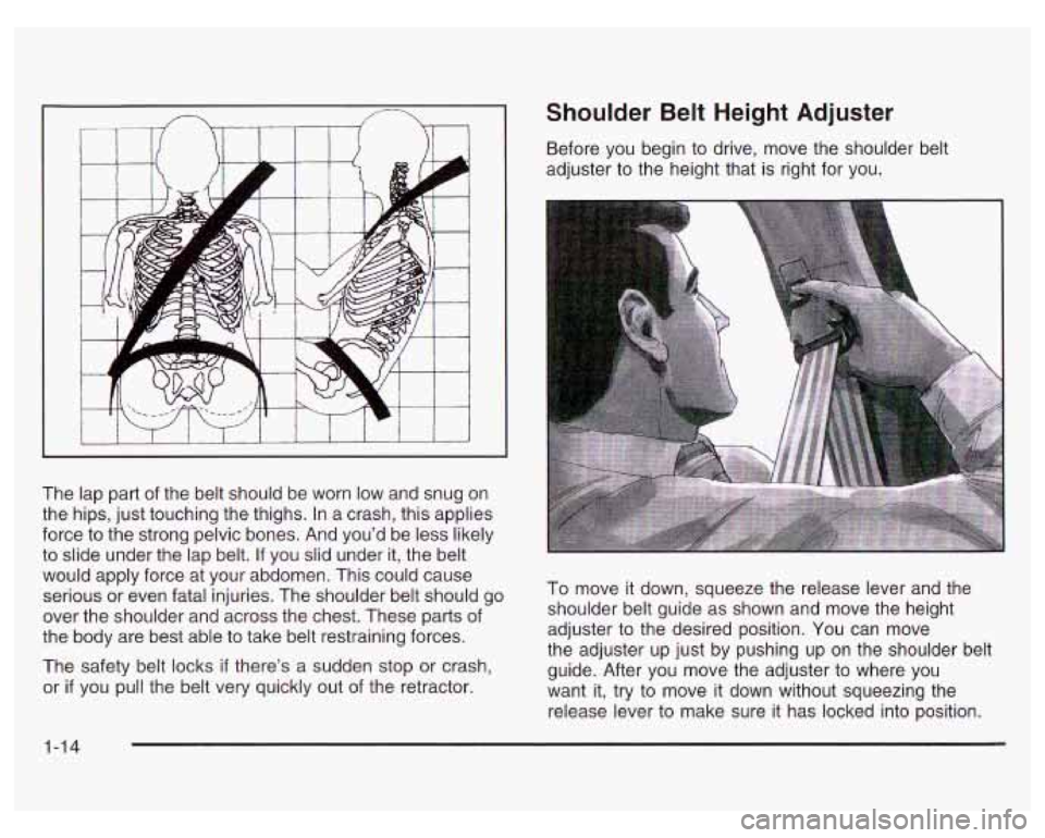 PONTIAC GRAND PRIX 2003 Owners Manual The lap part of the belt should be worn low and snug on
the hips, just touching the thighs. In a crash, this applies
force to the strong pelvic bones. And you’d be less likely
to PONTIAC GRAND PRIX 2003 Owners Manual The lap part of the belt should be worn low and snug on
the hips, just touching the thighs. In a crash, this applies
force to the strong pelvic bones. And you’d be less likely
to