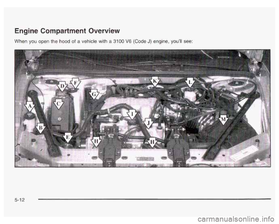 PONTIAC GRAND PRIX 2003  Owners Manual Engine Compartment  Overview 
When you open the hood of a vehicle with a 3100 V6 (Code J) engine, you’ll see: 
5-1 2  