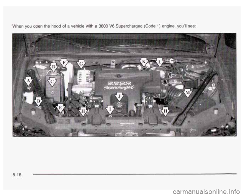 PONTIAC GRAND PRIX 2003  Owners Manual When you open the  hood of a vehicle  with  a 3800 V6 Supercharged (Code 1) engine,  you’ll  see: 
5-1 6  