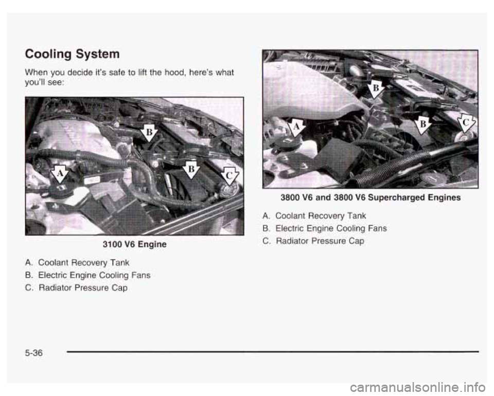 PONTIAC GRAND PRIX 2003 Owners Manual Cooling System
When you decide it’s safe to lift the hood, here’s what
you’ll see:
I
3100 V6 Engine
A. Coolant Recovery Tank
B. Electric Engine Cooling Fans
C. Radiator Pressure PONTIAC GRAND PRIX 2003 Owners Manual Cooling System
When you decide it’s safe to lift the hood, here’s what
you’ll see:
I
3100 V6 Engine
A. Coolant Recovery Tank
B. Electric Engine Cooling Fans
C. Radiator Pressure