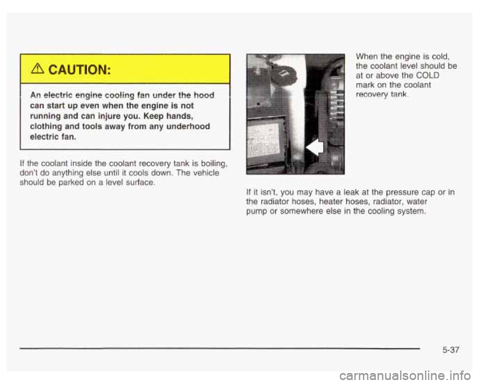 PONTIAC GRAND PRIX 2003 Owners Manual can start up even when the engine is not
running and can injure you. Keep hands,
clothing and tools away from any underhood
electric fan.
If the coolant inside the coolant recovery t PONTIAC GRAND PRIX 2003 Owners Manual can start up even when the engine is not
running and can injure you. Keep hands,
clothing and tools away from any underhood
electric fan.
If the coolant inside the coolant recovery t
