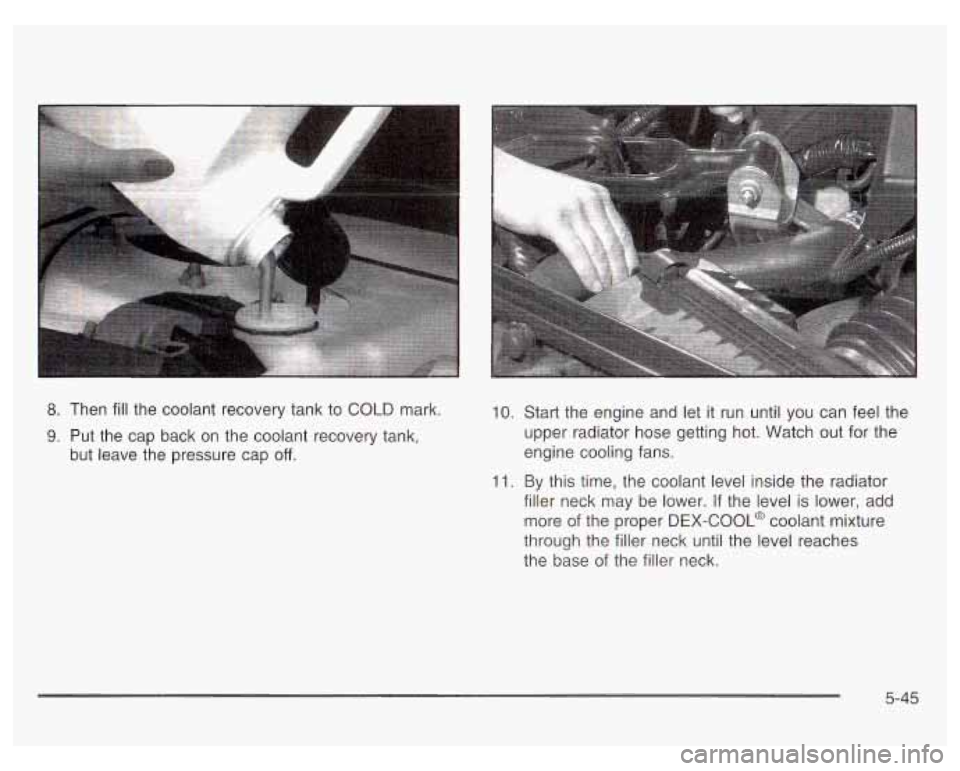 PONTIAC GRAND PRIX 2003 Owners Manual 8. Then fill the coolant recovery tank to COLD mark.
9. Put the cap back on the coolant recovery tank,
but leave the pressure cap
off.
10. Start the engine and let it run until you PONTIAC GRAND PRIX 2003 Owners Manual 8. Then fill the coolant recovery tank to COLD mark.
9. Put the cap back on the coolant recovery tank,
but leave the pressure cap
off.
10. Start the engine and let it run until you