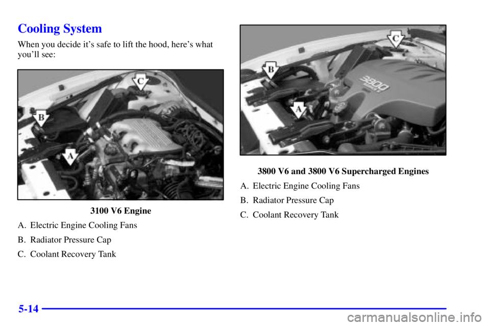 PONTIAC GRAND PRIX 2002  Owners Manual 5-14
Cooling System
When you decide its safe to lift the hood, heres what
youll see:
3100 V6 Engine
A. Electric Engine Cooling Fans
B. Radiator Pressure Cap
C. Coolant Recovery Tank
3800 V6 and 380