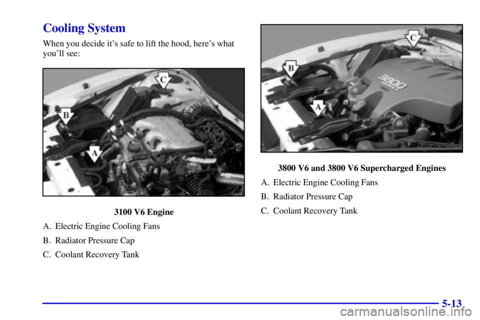 PONTIAC GRAND PRIX 2000  Owners Manual 5-13
Cooling System
When you decide its safe to lift the hood, heres what
youll see:
3100 V6 Engine
A. Electric Engine Cooling Fans
B. Radiator Pressure Cap
C. Coolant Recovery Tank
3800 V6 and 380