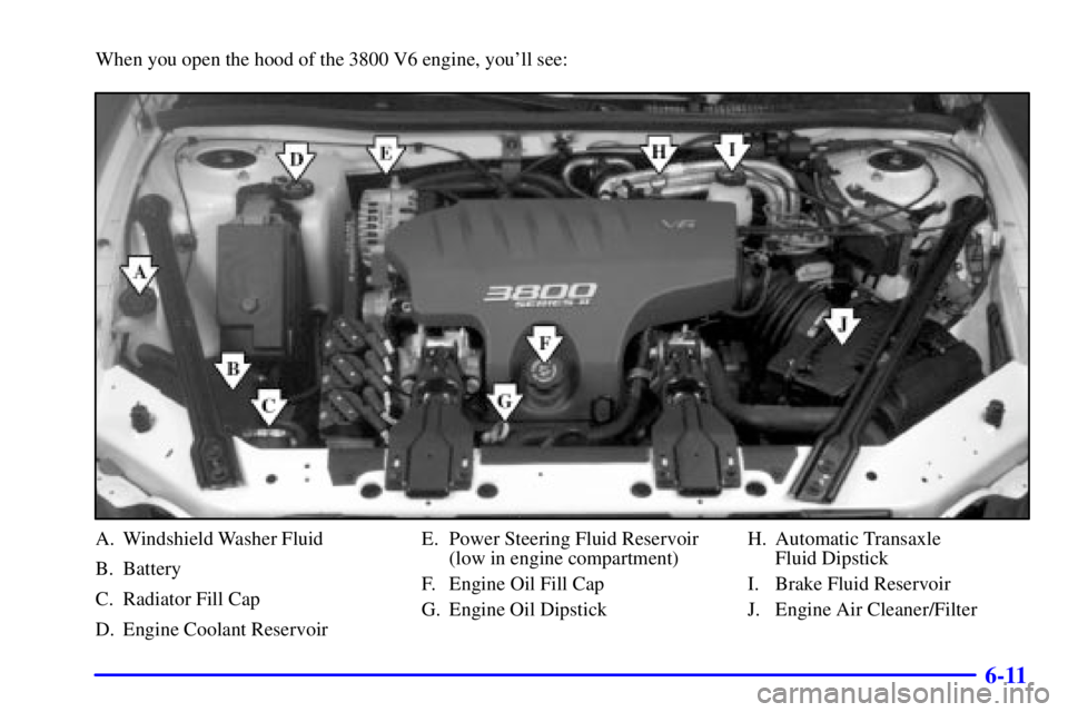 PONTIAC GRAND PRIX 2000 Owners Manual 6-11
When you open the hood of the 3800 V6 engine, youll see:
A. Windshield Washer Fluid
B. Battery
C. Radiator Fill Cap
D. Engine Coolant ReservoirE. Power Steering Fluid Reservoir
(low in engine co PONTIAC GRAND PRIX 2000 Owners Manual 6-11
When you open the hood of the 3800 V6 engine, youll see:
A. Windshield Washer Fluid
B. Battery
C. Radiator Fill Cap
D. Engine Coolant ReservoirE. Power Steering Fluid Reservoir
(low in engine co